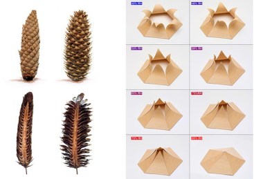 wood-cones-hygroscope