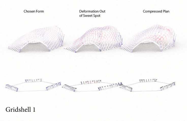 Gridshell Load Path Gridshell – Timber Tectonics in the Digital Age