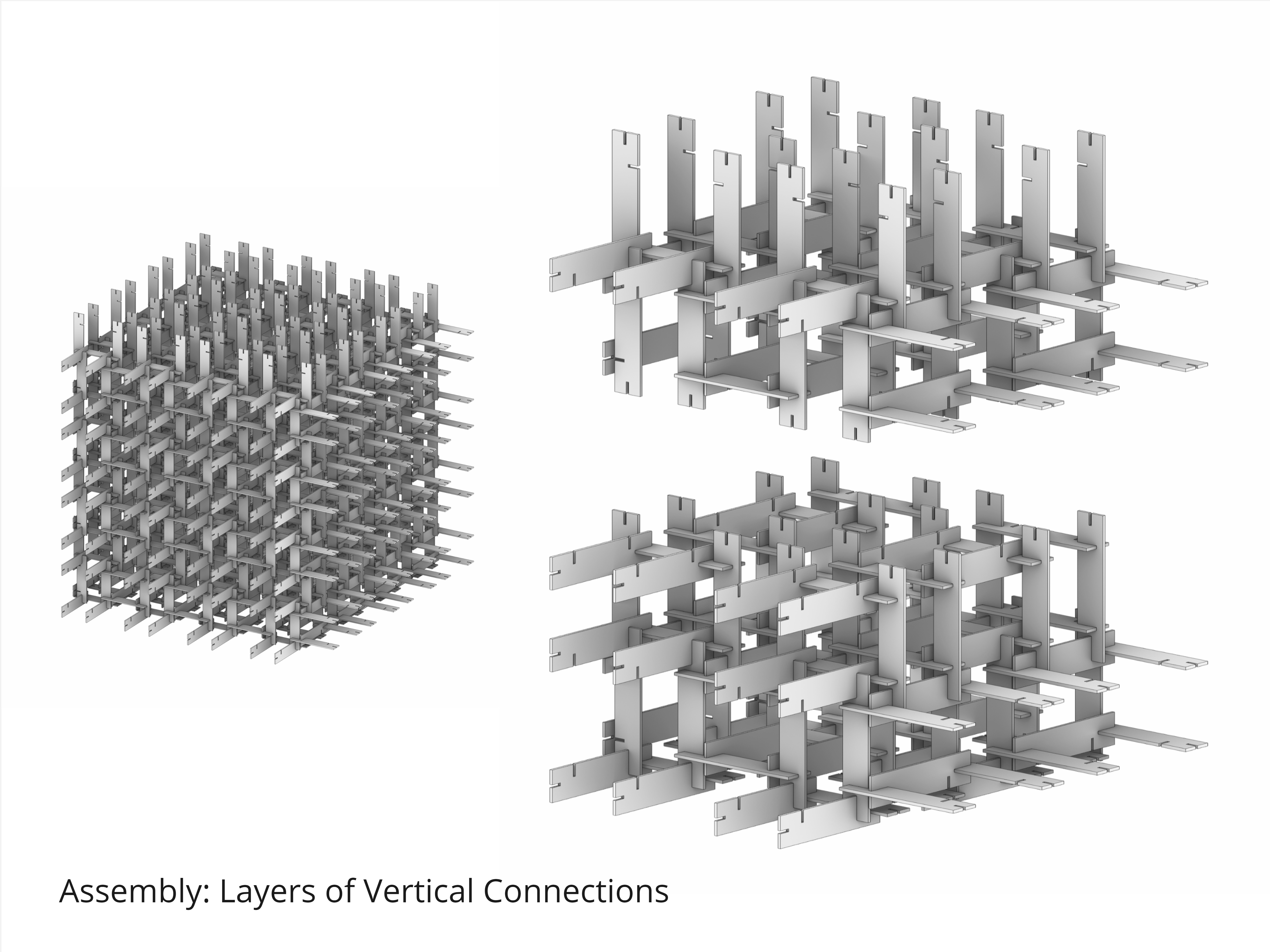 Team 1 Reciprocal Frame Pavillion – Timber Tectonics in the Digital Age